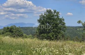 ISTRA, TINJAN - Građevinsko zemljište površine 1187 m2, Tinjan, Land