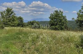 ISTRA, TINJAN - Građevinsko zemljište površine 1187 m2, Tinjan, Terra