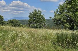 ISTRA, TINJAN - Građevinsko zemljište površine 1187 m2, Tinjan, أرض