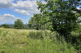 ISTRA, TINJAN - Građevinsko zemljište u manjem naselju, Tinjan, Land