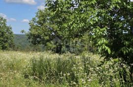 ISTRA, TINJAN - Građevinsko zemljište u manjem naselju, Tinjan, Land