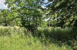 ISTRA, TINJAN - Građevinsko zemljište u manjem naselju, Tinjan, Land