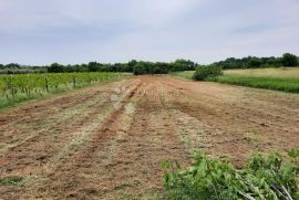 Prilika! Građevinsko zemljište uz glavnu cestu!, Ližnjan, Arazi