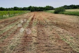 Prilika! Građevinsko zemljište uz glavnu cestu!, Ližnjan, Land