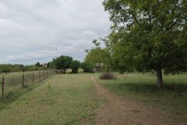 Plac na Paliću Gradsko građevinsko zemljište , Subotica, Land