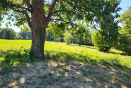 ISTRA, BUZET - Građevinsko zemljište u blizini centra, Buzet, Zemljište