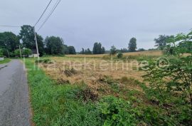 GOSPIĆ - Kaniža Gospićka, obiteljska kuća, Gospić - Okolica, Kuća