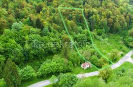 Delnice - Brod na Kupi - Građevinsko i poljoprivredno zemljište, šuma, Delnice, Terrain