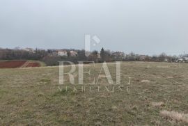 Marčana zemljište6321m2 od toga 900m2 građevinsko, Marčana, أرض