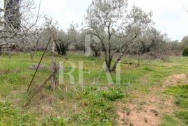 Galižana gradevinsko zemljište 932m2 pogled na more, Vodnjan, Tierra