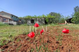 Fažana,kuća 66m2, zemljište 3500m2 ,uredna dokumentacija !, Fažana, Terrain