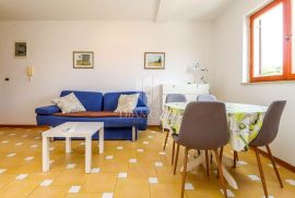 Svijetao stan u širem centru Rovinja s terasom, Rovinj, Apartamento