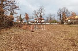 Građevinsko zemljište 6000 m2, Višnjan, Land