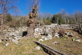 Kuća sa mogućnošću nadogradnje sa velikom okućnicom i prekrasnim pogledom na Kvarner, Matulji, House