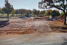 Industrijska zona Višnjan,zemljište za gradnju proizvodne ili skladišne hale,10400 m2, Višnjan, Land