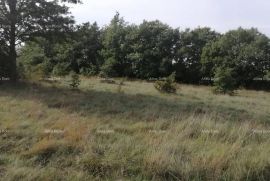 Poljoprivredno zemljište Prodaja poljoprivredno zemlište Bibići, Svetvinčenat, Terrain