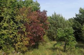 Poljoprivredno zemljište Prodaja poljoprivredno zemlište Bibići, Svetvinčenat, Terra