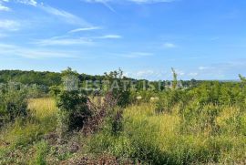 Građevinsko zemljište u Štinjanu površine 6409 m2 na prodaju, Pula, Terra