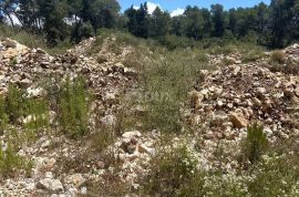 ZADAR, DIKLO - Zemljište s građevinskom dozvolom i projektom za zgrade, Zadar, Land