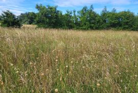 ISTRA, MARČANA - Prostrano zemljište na rubu građevinske zone, Marčana, Terra