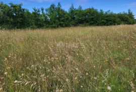 ISTRA, MARČANA - Prostrano zemljište na rubu građevinske zone, Marčana, Land