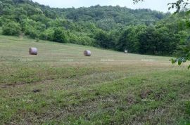 Građevinsko zemljište Prodaje se veliko imanje u središnjoj Istri, Pazin!, Pazin, Land