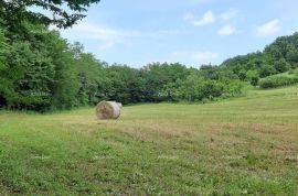 Građevinsko zemljište Prodaje se veliko imanje u središnjoj Istri, Pazin!, Pazin, Land