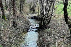 Građevinsko zemljište Prodaje se veliko imanje u središnjoj Istri, Pazin!, Pazin, أرض