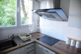 Udoban i funkcionalan stan u centru ID#4400, Palilula, Appartment