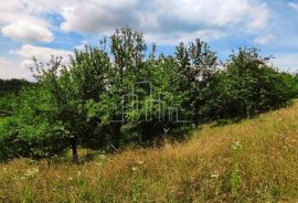 Imanje 11,5 duluma Kremeš Opština Vogošća prodaja, Vogošća, Kuća