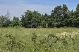 ISTRA, SVETVINČENAT - Kompleks zemljišta od 4522 m2, Svetvinčenat, Terrain