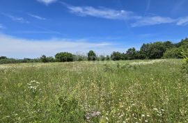 ISTRA, SVETVINČENAT - Kompleks zemljišta od 4522 m2, Svetvinčenat, Land