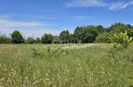 ISTRA, SVETVINČENAT - Kompleks zemljišta od 4522 m2, Svetvinčenat, Terreno