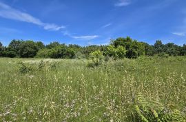 ISTRA, SVETVINČENAT - Kompleks zemljišta od 4522 m2, Svetvinčenat, Tierra