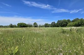 ISTRA, SVETVINČENAT - Građevinsko zemljište na top poziciji, zadnje u zoni gradnje, Svetvinčenat, Tierra