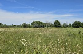 ISTRA, SVETVINČENAT - Građevinsko zemljište na top poziciji, zadnje u zoni gradnje, Svetvinčenat, Terrain