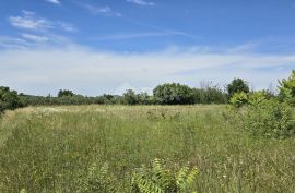 ISTRA, SVETVINČENAT - Građevinsko zemljište na top poziciji, zadnje u zoni gradnje, Svetvinčenat, Terrain