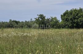 ISTRA, SVETVINČENAT - Građevinsko zemljište na top poziciji, zadnje u zoni gradnje, Svetvinčenat, أرض