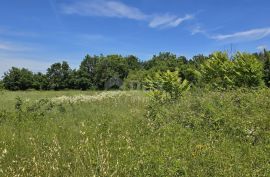 ISTRA, SVETVINČENAT - Građevinsko zemljište na top poziciji, zadnje u zoni gradnje, Svetvinčenat, Terreno