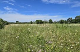 ISTRA, SVETVINČENAT - Građevinsko zemljište na top poziciji, zadnje u zoni gradnje, Svetvinčenat, أرض