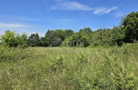 ISTRA, SVETVINČENAT - Građevinsko zemljište na top poziciji, zadnje u zoni gradnje, Svetvinčenat, Terra