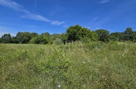 ISTRA, SVETVINČENAT - Građevinsko zemljište na top poziciji, zadnje u zoni gradnje, Svetvinčenat, Terrain