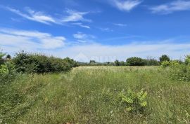 ISTRA, SVETVINČENAT - Građevinsko zemljište na top poziciji, zadnje u zoni gradnje, Svetvinčenat, Land