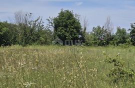 ISTRA, SVETVINČENAT - Građevinsko zemljište na top poziciji, zadnje u zoni gradnje, Svetvinčenat, Land