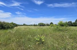 ISTRA, SVETVINČENAT - Građevinsko zemljište na top poziciji, zadnje u zoni gradnje, Svetvinčenat, Terrain