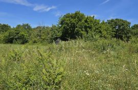 ISTRA, SVETVINČENAT - Građevinsko zemljište na top poziciji, zadnje u zoni gradnje, Svetvinčenat, Tierra