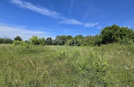 ISTRA, SVETVINČENAT - Građevinsko zemljište na top poziciji, zadnje u zoni gradnje, Svetvinčenat, Terrain