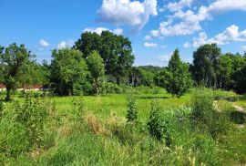 ISTRA, BRTONIGLA - Prostrano građevinsko zemljište, Brtonigla, Tierra