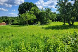 ISTRA, BRTONIGLA - Prostrano građevinsko zemljište, Brtonigla, Land