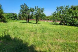 ISTRA, BRTONIGLA - Prostrano građevinsko zemljište, Brtonigla, Terrain